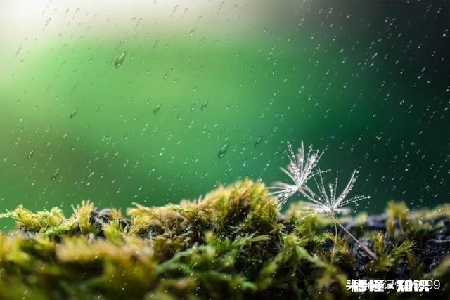 形容时光美好的诗句