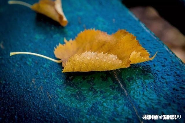 形容时光美好的诗句