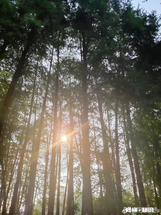 大学生早上应几点起效率最高