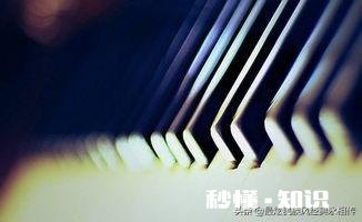 演奏乐器的时候有些人会摇头晃脑，有些人会抖腿，在你看来这是故意的还是属于情不自禁