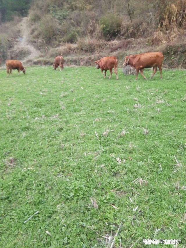 小时候，你经常帮妈妈做家务吗