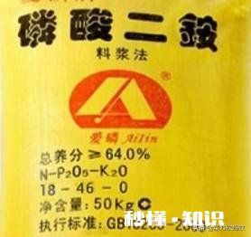 二铵伴菌肥行吗
