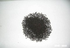 二铵伴菌肥行吗