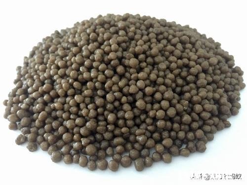 二铵伴菌肥行吗