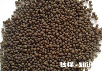 二铵伴菌肥行吗