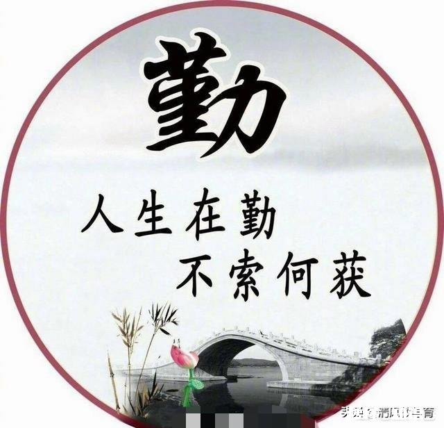 人生的生活感悟是什么