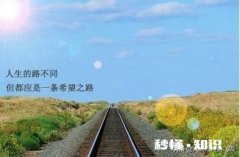 人生的生活感悟是什么