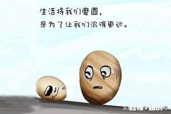 人生的生活感悟是什么