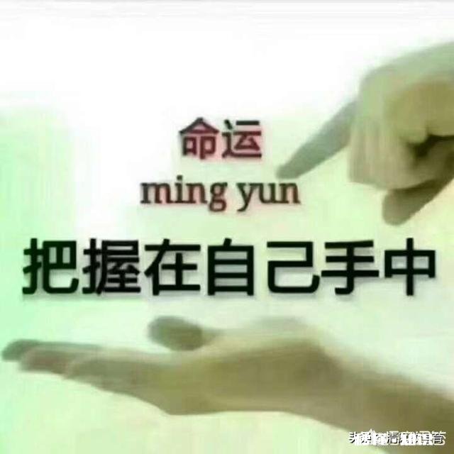 人生的生活感悟是什么