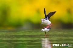 刚入职的老师，对学生要求严厉一点好，还是温和一点好