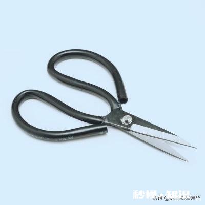 按比例说,学过的才懂,多高的裁缝能用九寸的裁缝剪子这里面有人体比例换算的