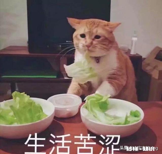 工资九千左右，税务网上查工资只有四千多，是不是公司偷税，漏税