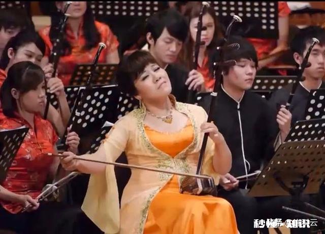 从听觉的角度应该从几方面评价二胡表演者的水平