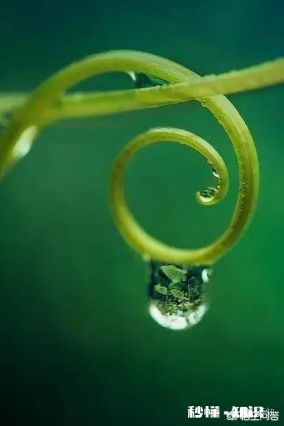 上联：你爱我，我爱你，你我爱，爱你我，怎么对下联