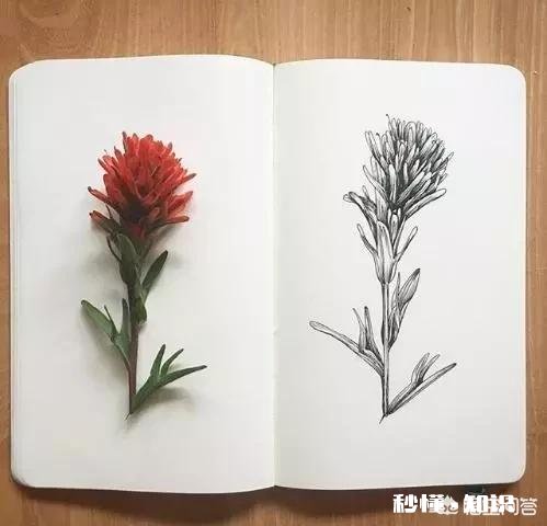 心态好的老人和心态差的老人生活状态如何