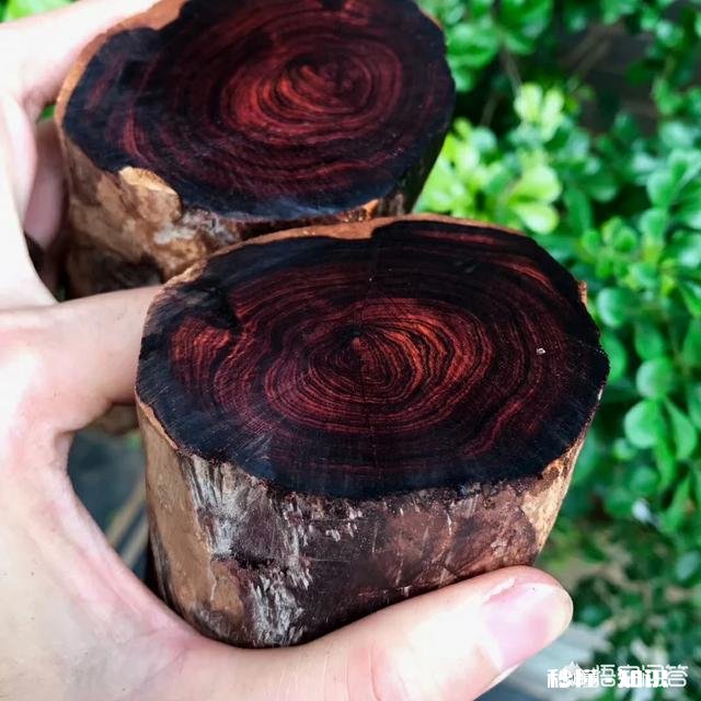 海南黄花梨器物类藏品为何比手串值得收藏