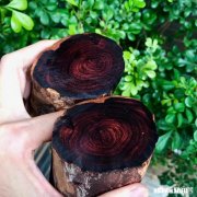 海南黄花梨器物类藏品为何比手串值得收藏