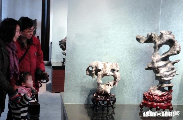 玩石头是专注于某一品种好呢还是广泛涉猎各种品种，收藏大量标本好呢