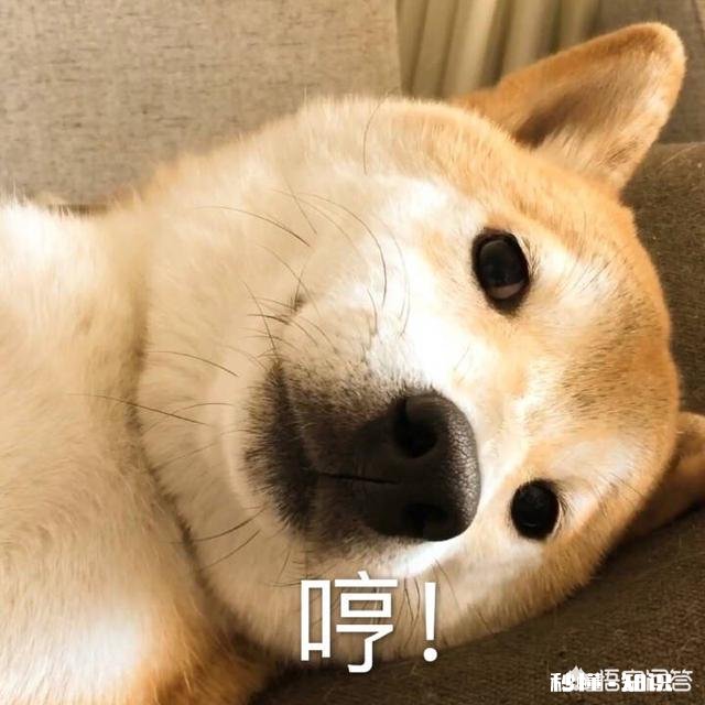 如何教育“熊孩子”