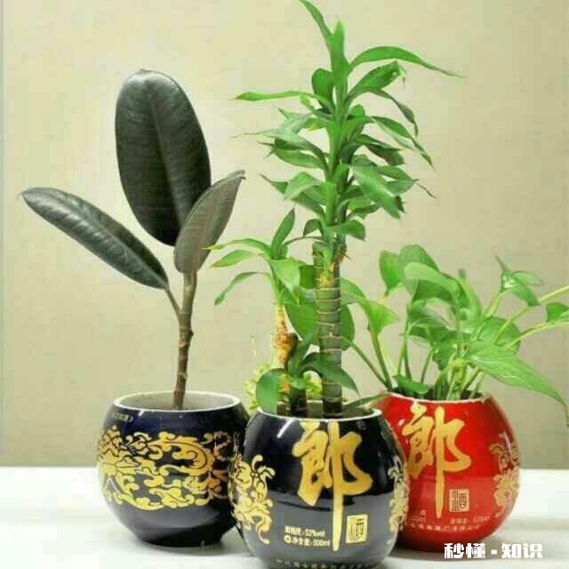 没有切割机怎样切割陶瓷酒瓶