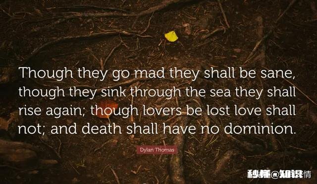 有哪些诗歌值得分享