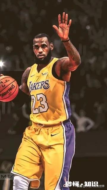 湖人与篮网在总决赛上相遇胜率几何,46开还是55开