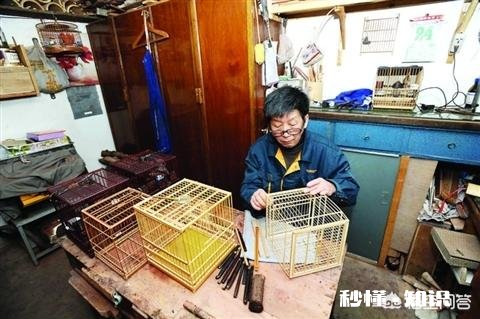 红木鸟笼为什么不适合养鸟