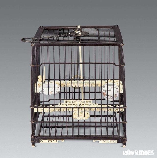 红木鸟笼为什么不适合养鸟