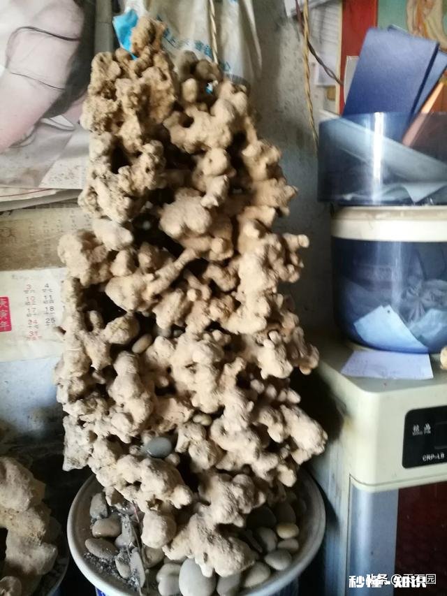 大家帮我看看这是什么石头怎么样