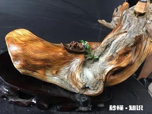 崖柏的审美价值在哪里