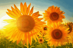 人生何其短，为何总要等