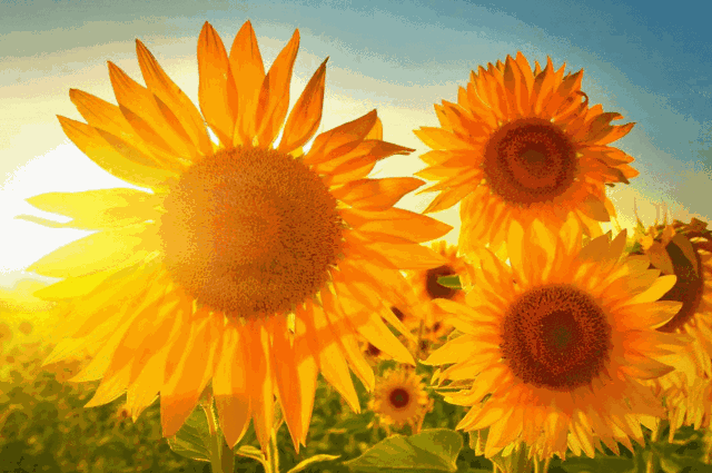 人生何其短，为何总要等