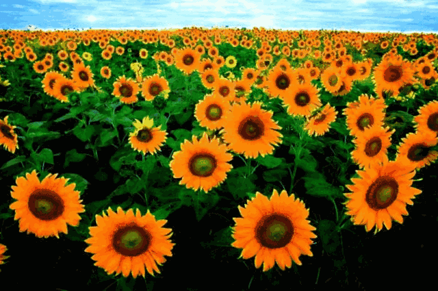 人生何其短，为何总要等