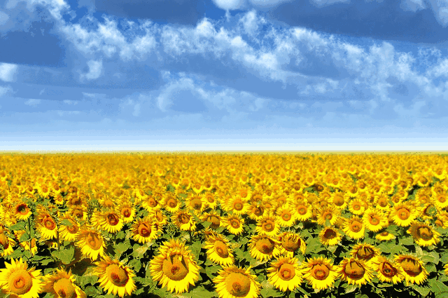 人生何其短，为何总要等