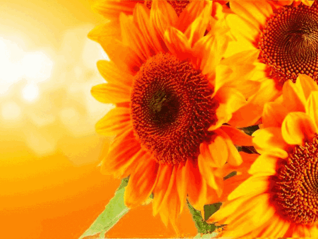 人生何其短，为何总要等