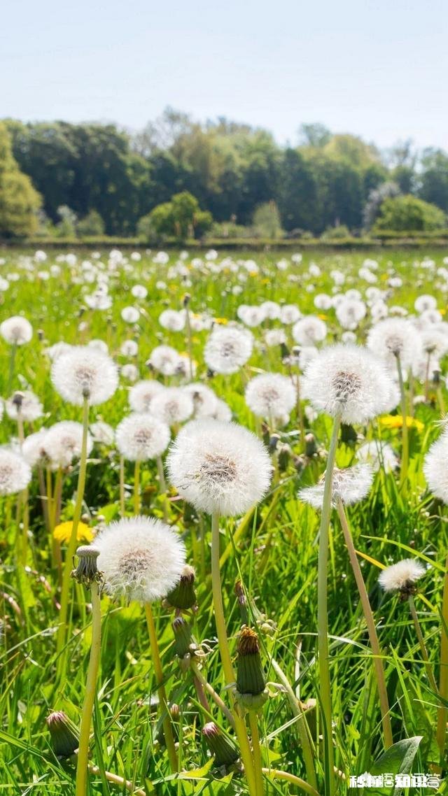 人生何其短，为何总要等