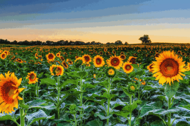 人生何其短，为何总要等