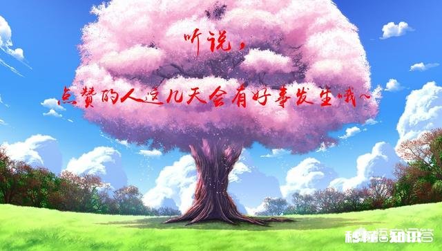 19岁混合型皮肤男孩儿,用什么护肤品