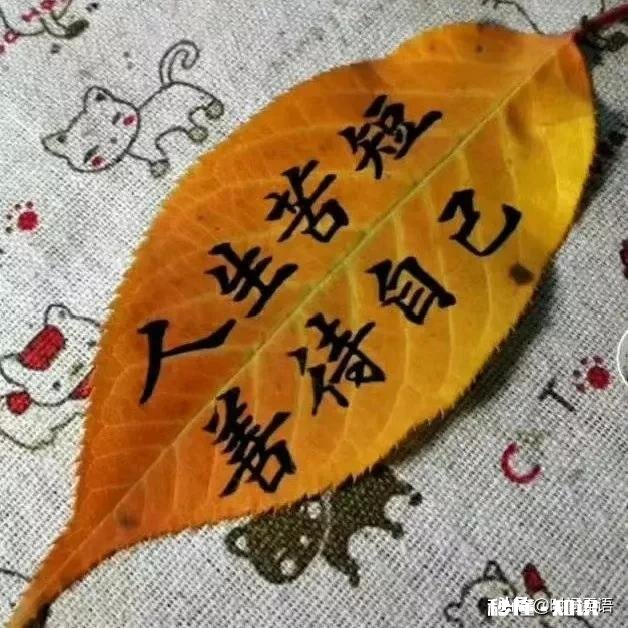 对方一见钟情我，在一起后，因为他爱得多，一直索取相应的爱，让我很乏力，应该分手么