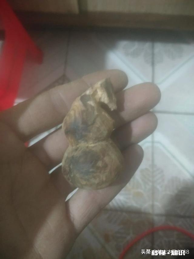 我是一名大学生，想自学木雕，雕一些小东西，请问怎么入门