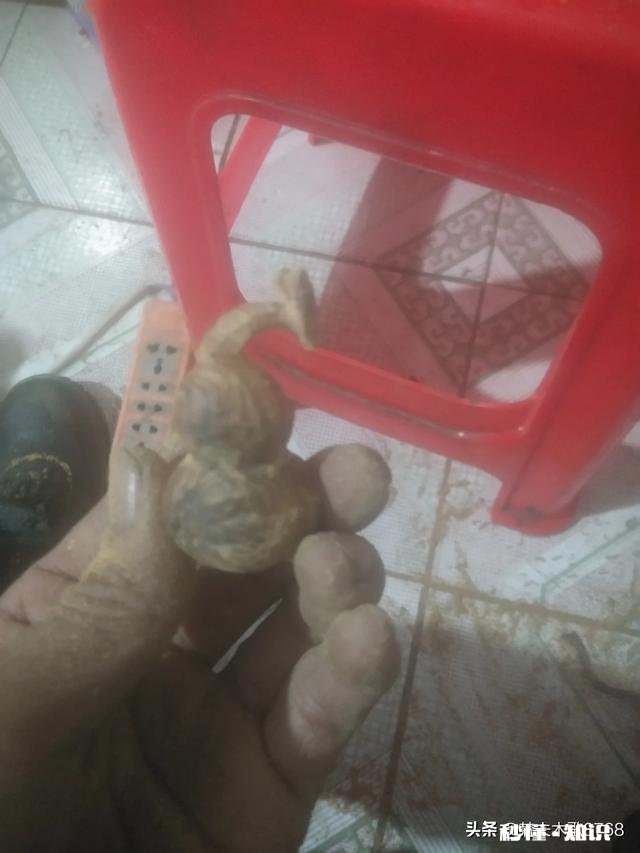 我是一名大学生，想自学木雕，雕一些小东西，请问怎么入门