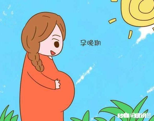 孕妇在孕晚期吃什么好