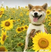 孩子考上高中，他要买一套2000多元的衣服，可是我们是工薪家庭，承担不起，怎么办