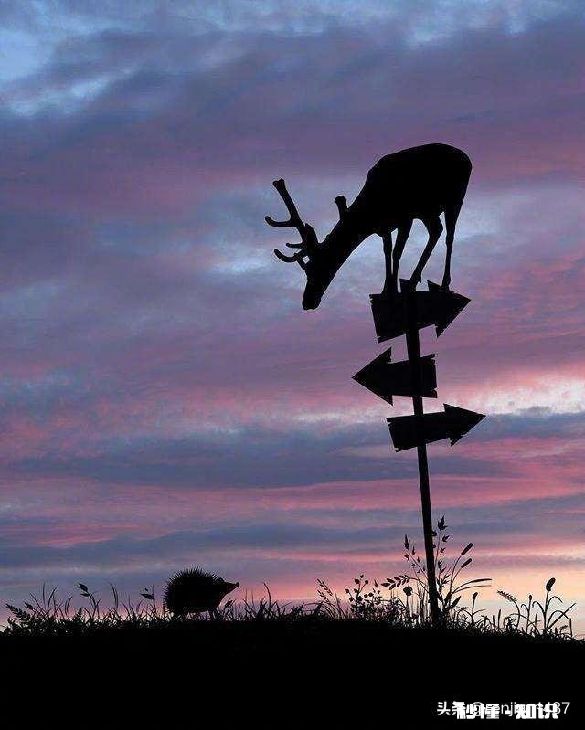 你会用多长时间走出悲伤