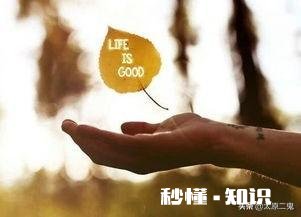 生活解释就是生下来就得活着，你感觉对吗