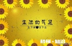 生活解释就是生下来就得活着，你感觉对吗