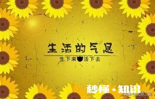 生活解释就是生下来就得活着，你感觉对吗