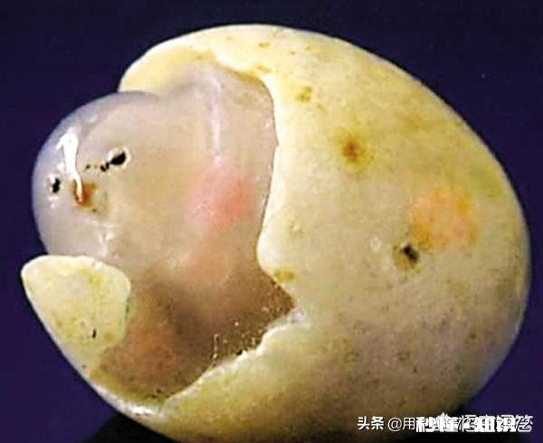 大家怎么看我捡的这款奇石《小鸡出壳》，来评评吧