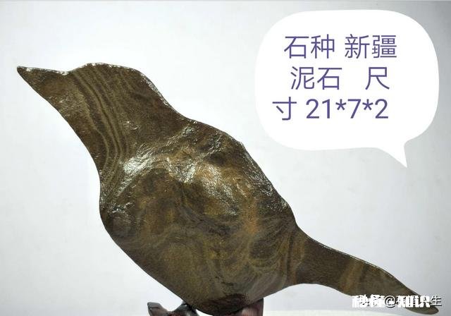 大家怎么看我捡的这款奇石《小鸡出壳》，来评评吧