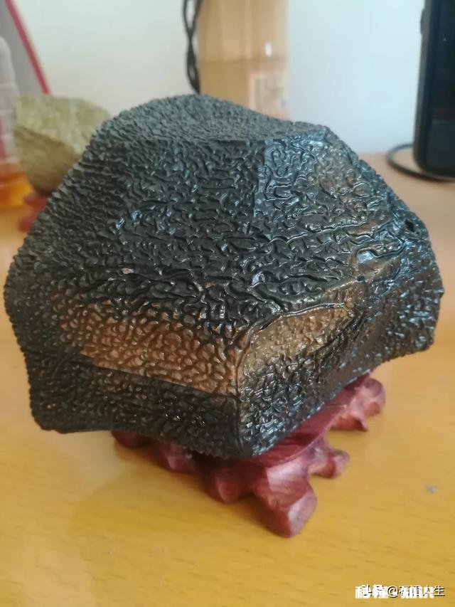 大家怎么看我捡的这款奇石《小鸡出壳》，来评评吧